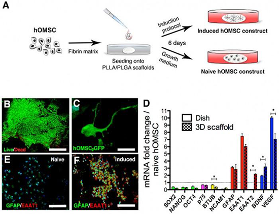 1532046215254747bolB.png 圖片32.png