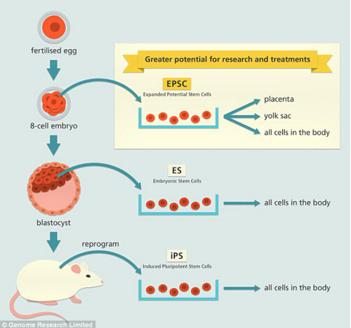 1532048472687907MULA.png 圖片53.png