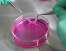 1532050051816004mtRd.png 圖片126.png