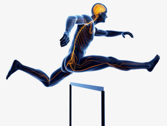 1532052023897668FCYg.png 圖片203.png