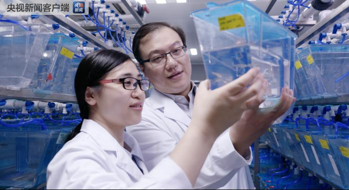 1542705154676554wyes.png 3.png